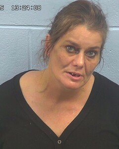 Etowah County, AL Arrests | Public Jail Records